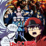 Hataraku Saibou Black เซลล์ขยัน พันธุ์เดือด แบล็ค ตอนที่ 13 ซับไทย