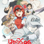 Hataraku Saibou!! Hataraku Saibou!! ตอนที่ 8 ซับไทย Hataraku Saibou!! Hataraku Saibou!! ตอนที่ 8 ซับไทย