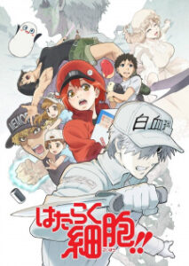 Hataraku Saibou!! Hataraku Saibou!! Hataraku Saibou!! Hataraku Saibou!!
