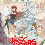 Hataraku Saibou เซลล์ขยันพันธุ์เดือด ตอนที่ OVA ซับไทย