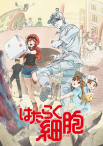 Hataraku Saibou เซลล์ขยันพันธุ์เดือด