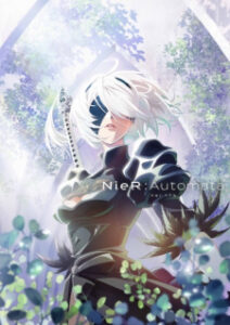NieR Automata Ver1.1a