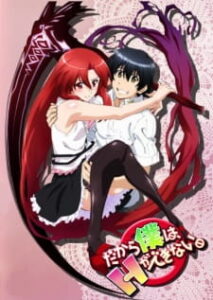Dakara Boku wa, H ga Dekinai Dakara Boku wa, H ga Dekinai